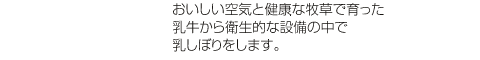 おいしい空気と健康な牧草で育った乳牛から、衛生的な設備の中で乳絞りをします。