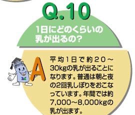 Q10：１日にどのくらいの乳が出るの？　平均１日で約20～30kgの乳が出ることになります。普通は朝と夜の2回乳しぼりをおこなっています。年間では約7000～8000kgの乳が出ます。